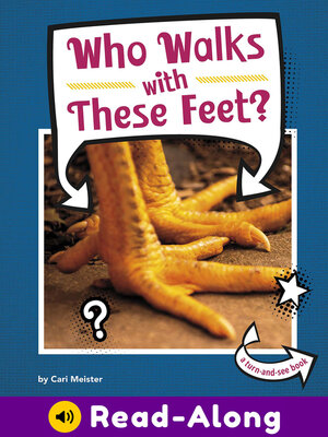 cover image of Who Walks With These Feet?